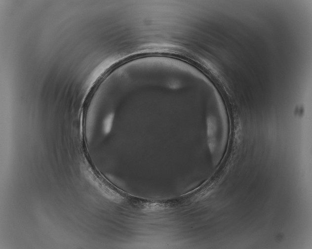 X0000111591275200908061340