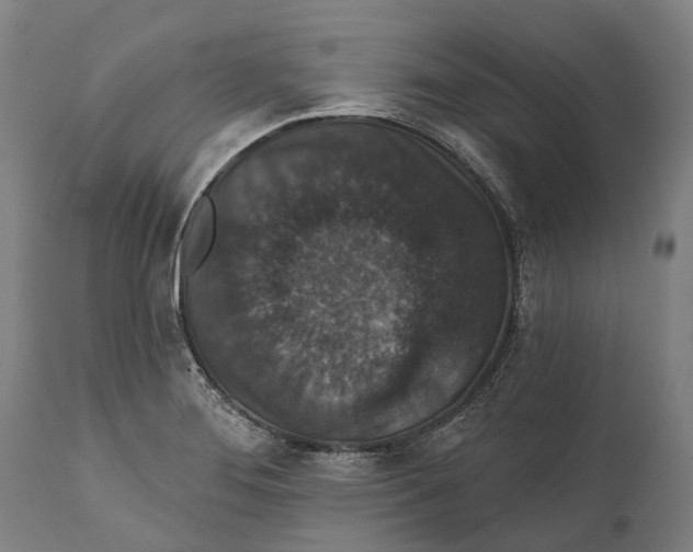 X0000111591276200908061340