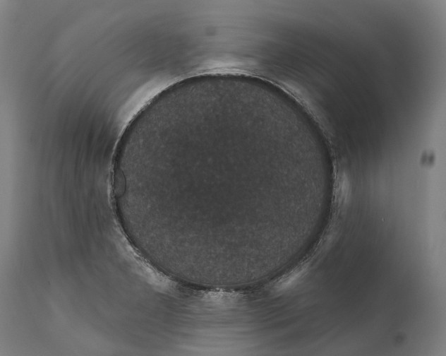 X0000111591277200908061340