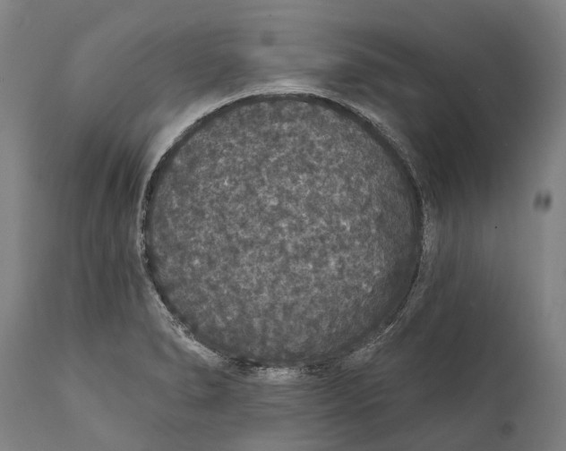 X0000111591278200908061340