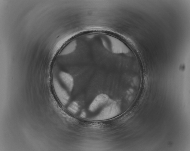 X0000111591279200908061340