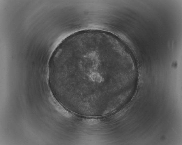 X0000111591280200908061340