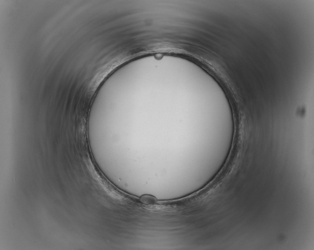 X0000111591281200908061340