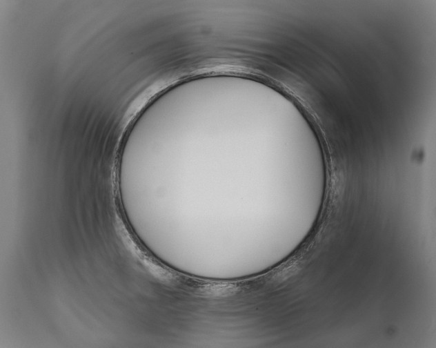 X0000111591282200908061340