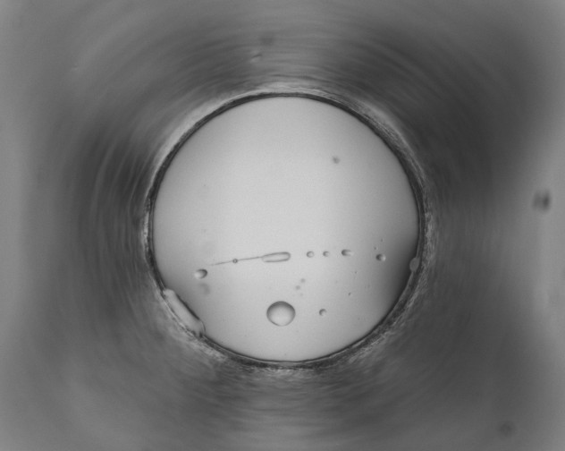 X0000111591284200908061340