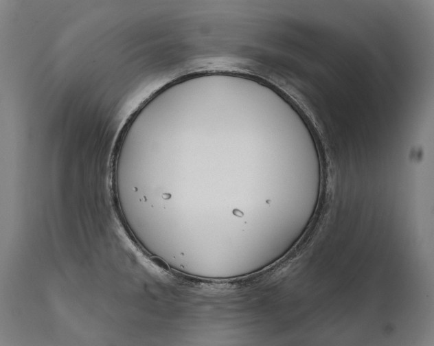 X0000111591285200908061340