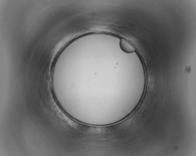 X0000111591286200908061340