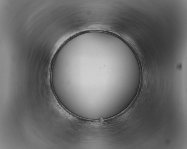 X0000111591288200908061340