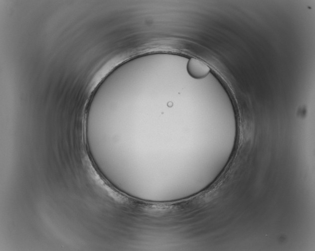 X0000111591290200908061340