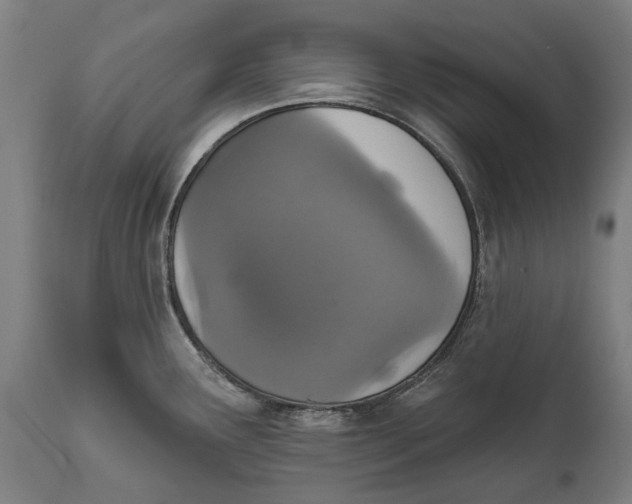 X0000111591291200908061340