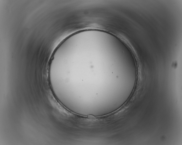 X0000111591292200908061340