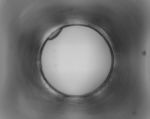 X0000111591293200908061340