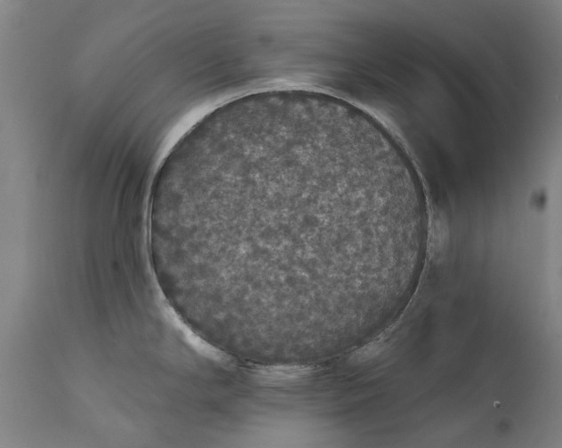 X0000111591294200908061340