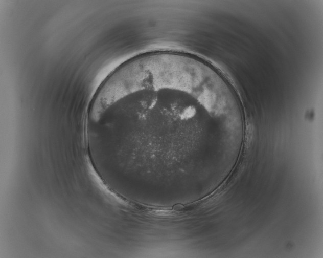 X0000111591295200908061340