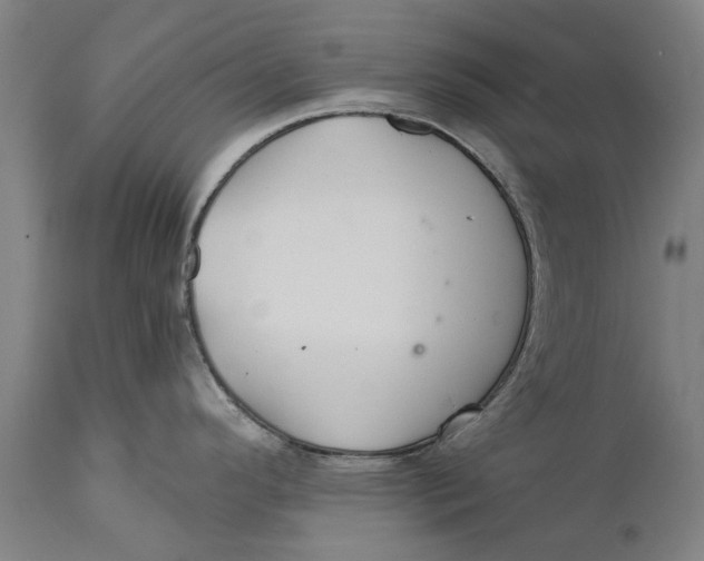 X0000111591296200908061340