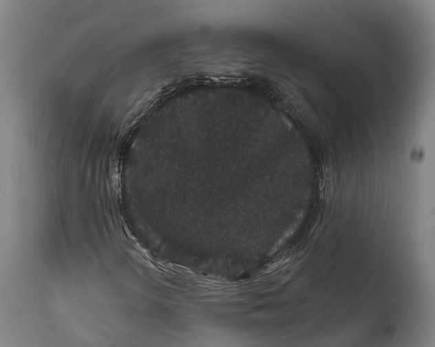 X0000111591298200908061339