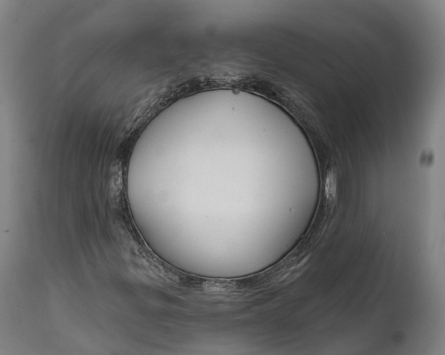 X0000111591299200908061339