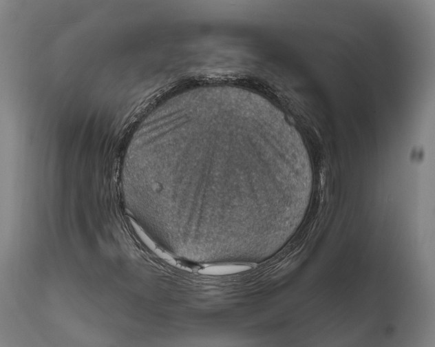 X0000111591300200908061339