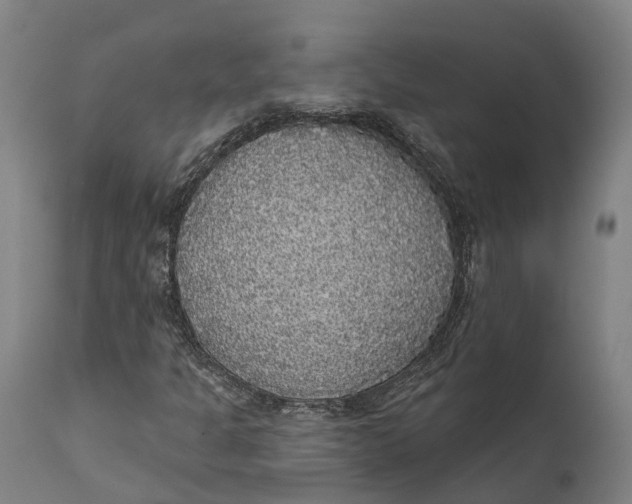 X0000111591301200908061339