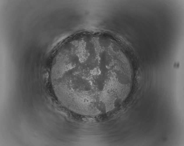 X0000111591302200908061339