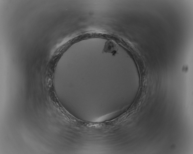 X0000111591303200908061339