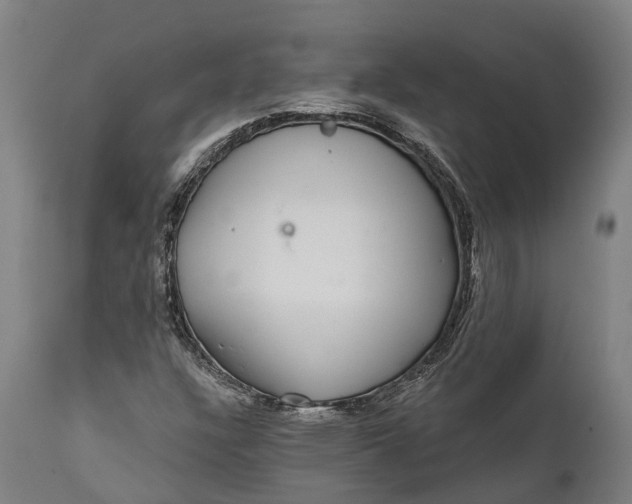 X0000111591304200908061339