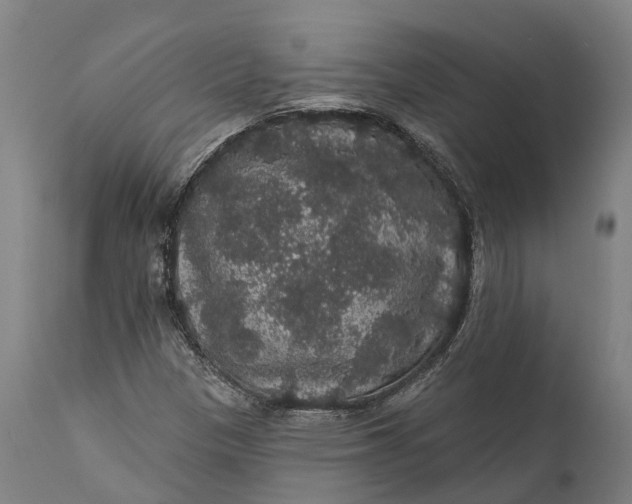 X0000111591305200908061339