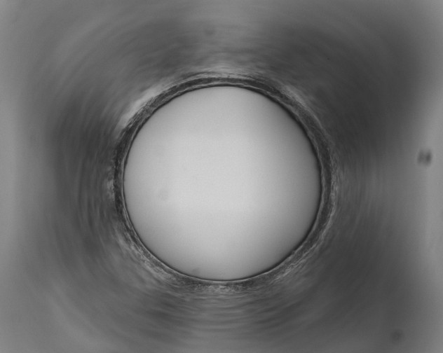 X0000111591307200908061339