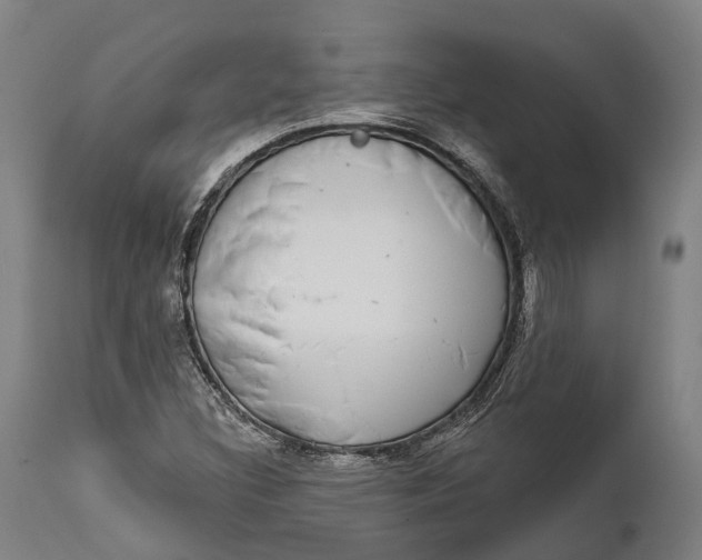 X0000111591308200908061340