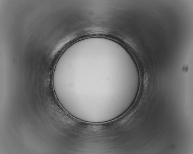 X0000111591309200908061340