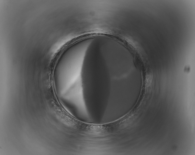 X0000111591310200908061340