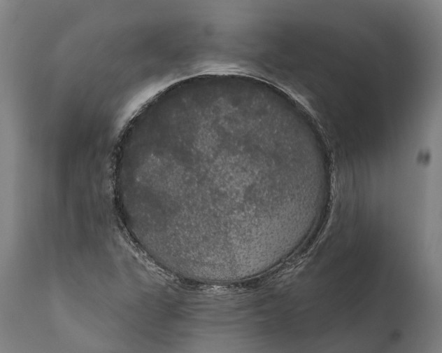 X0000111591311200908061340