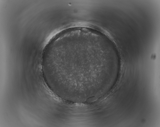 X0000111591312200908061340