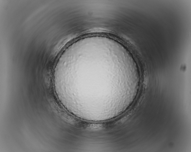 X0000111591313200908061340