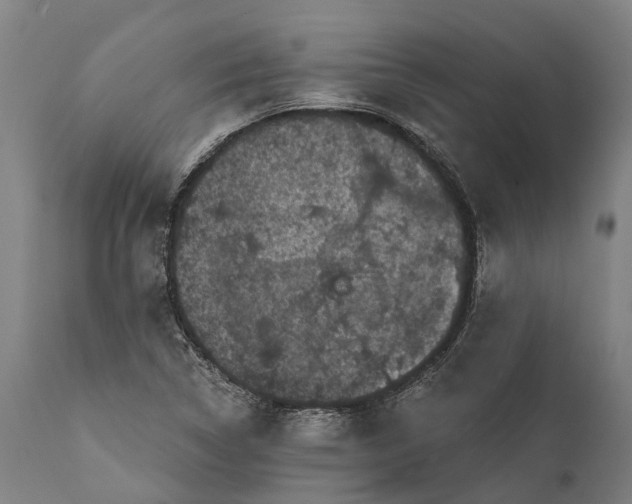 X0000111591314200908061340