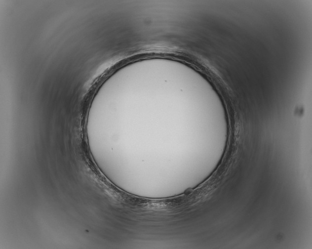 X0000111591315200908061340