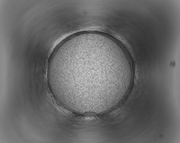 X0000111591316200908061340