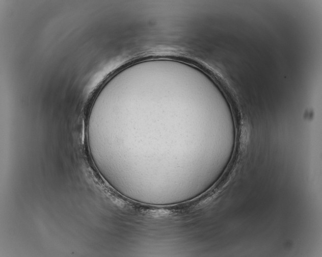 X0000111591317200908061340