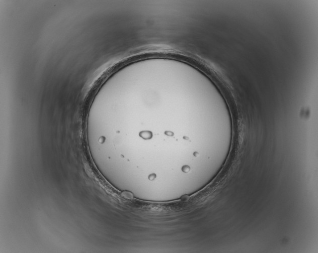 X0000111591318200908061340