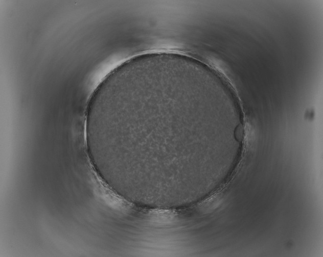 X0000111591320200908061340