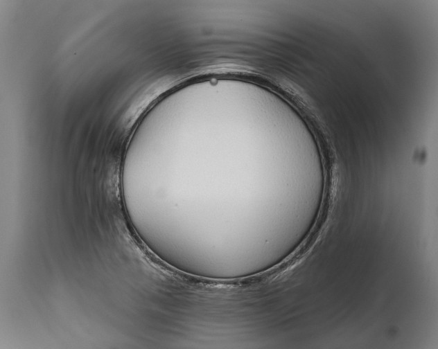 X0000111591321200908061340