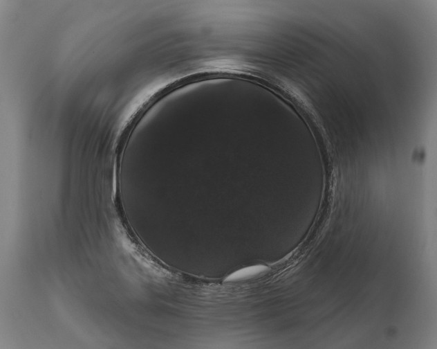 X0000111591323200908061340