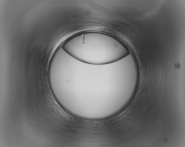 X0000111591324200908061340