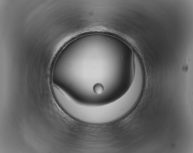 X0000111591326200908061340