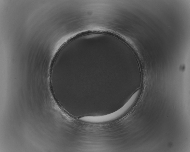 X0000111591327200908061340