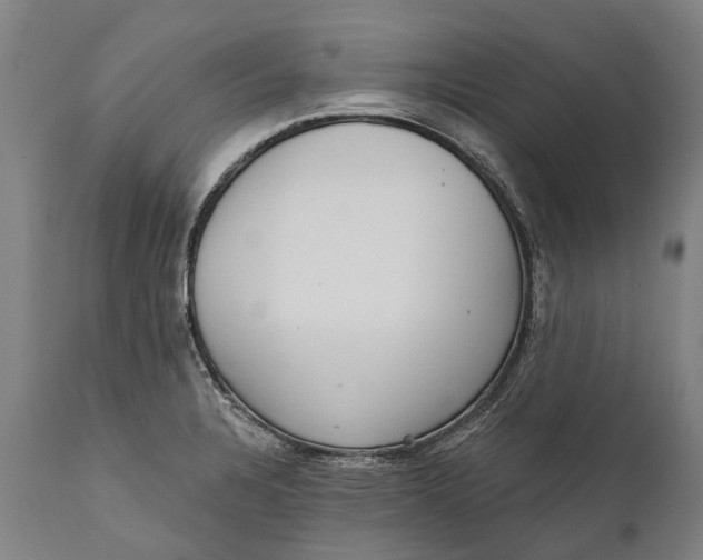 X0000111591328200908061340