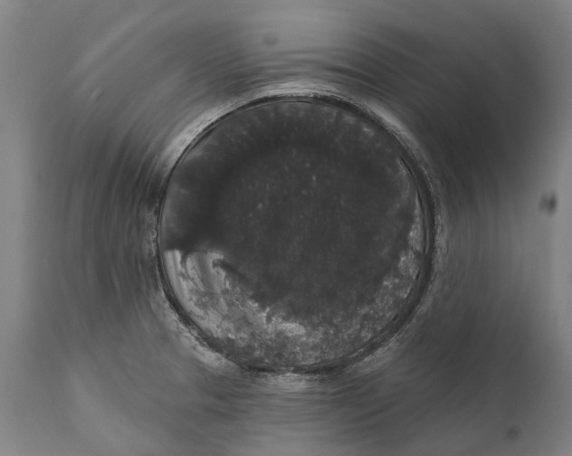 X0000111591329200908061340