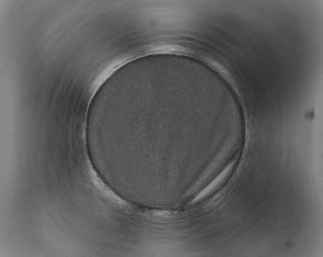 X0000111591330200908061340