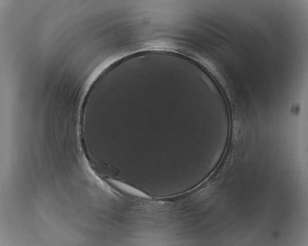 X0000111591331200908061340