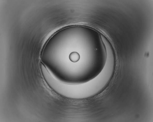 X0000111591332200908061340